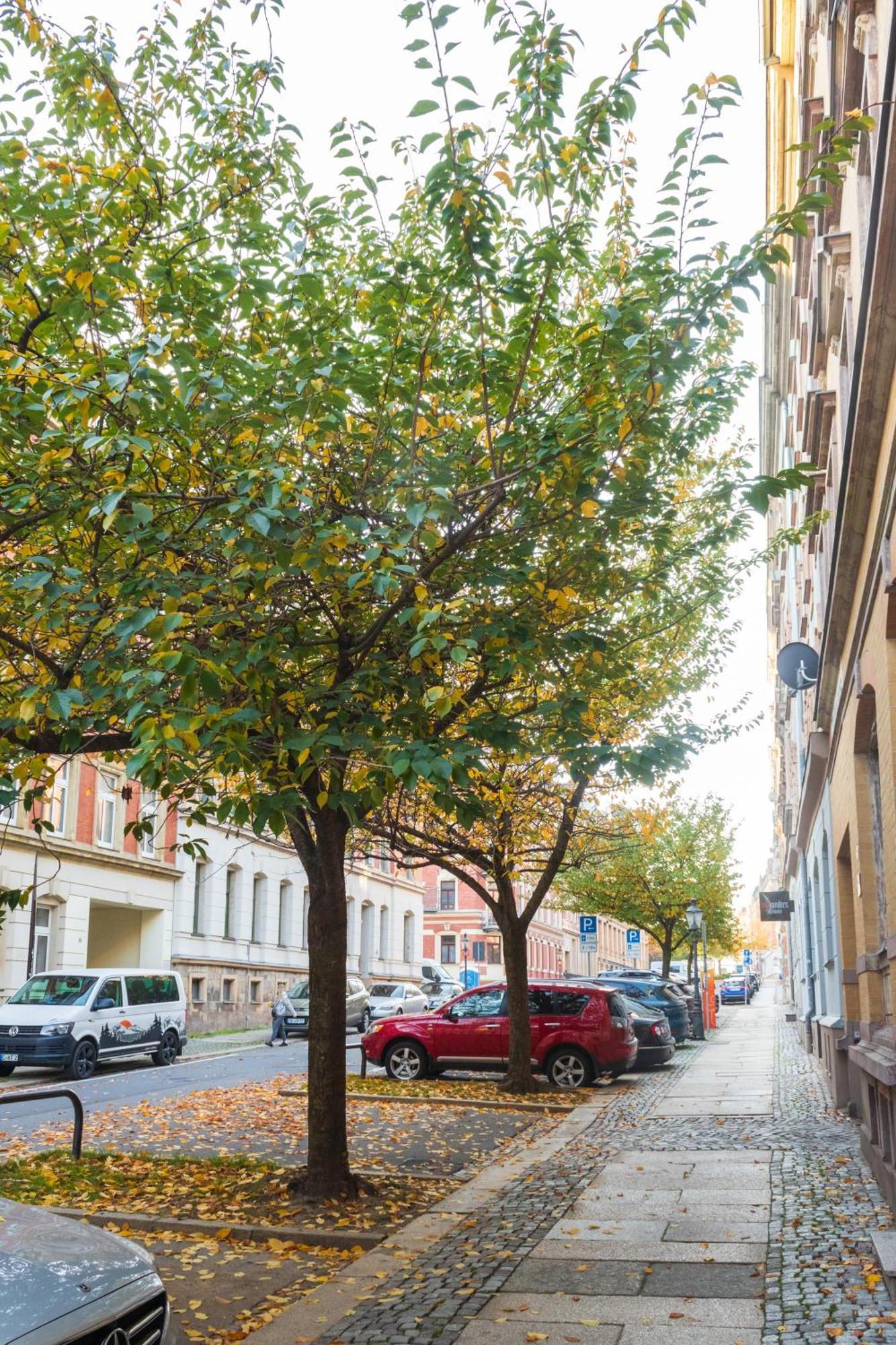 Familienfreundliche Stadt-oase Mit Arbeitsplatz - Bahnhofsnah, 2 Schlafzimmer, 76qm & Gratis Kaffee- Und Teeangebot Apartment